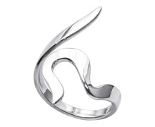 Фалангові (1)