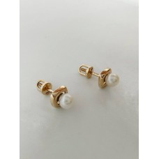 Сережки 210862310101